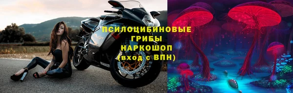 2c-b Белокуриха