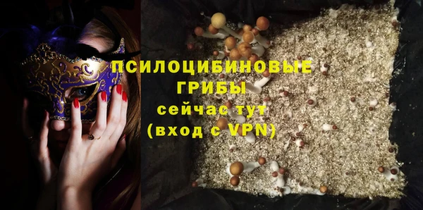 2c-b Белокуриха