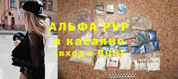 хмурый Тавда