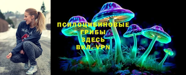 СК Богданович