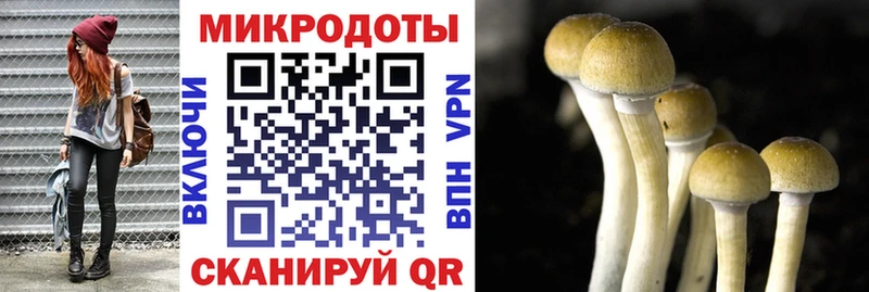 хочу   Верхний Тагил  Галлюциногенные грибы Psilocybine cubensis 